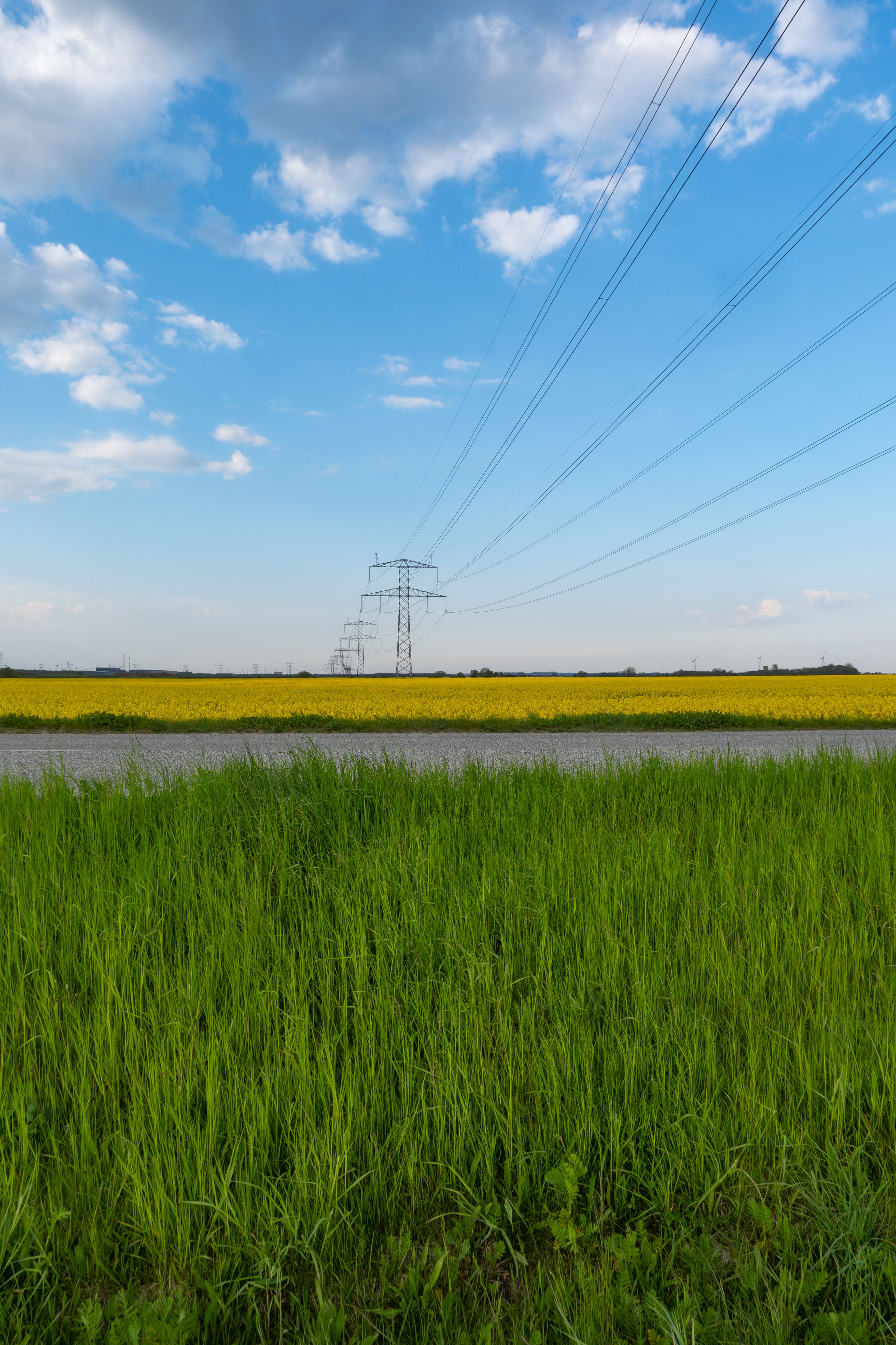 Power transmission lines crossing a green right-of-way